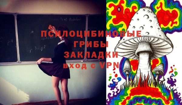 первитин Нея