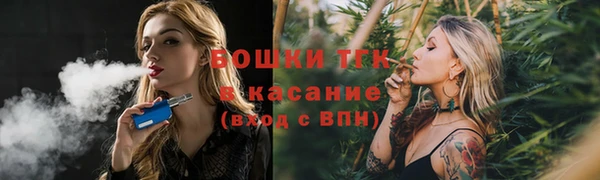 трава Магас