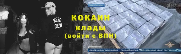 трава Магас