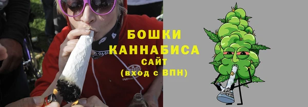 молекула духа Новокубанск