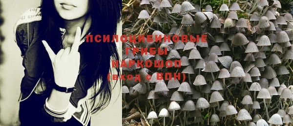 трава Магас