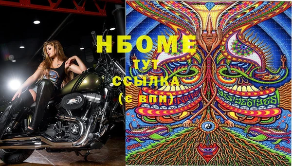 твердый Магадан
