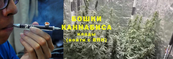 трава Магас
