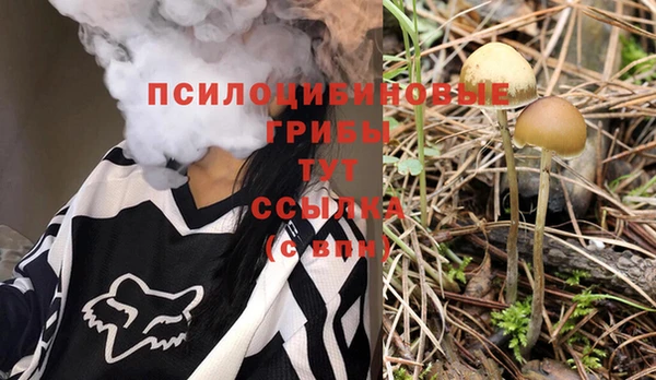твердый Магадан