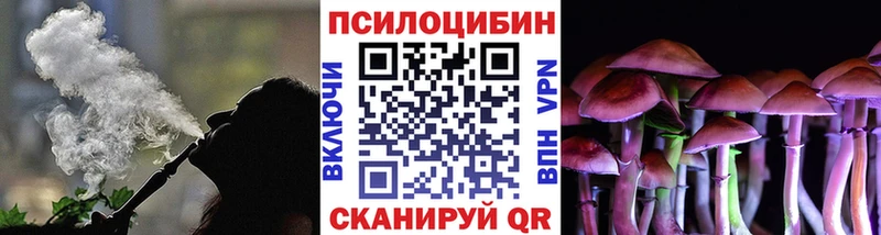 сколько стоит  Александровск  Галлюциногенные грибы Cubensis 