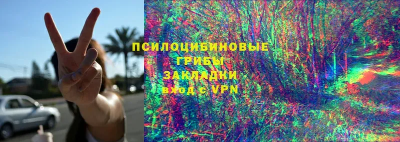 Галлюциногенные грибы GOLDEN TEACHER  Александровск 